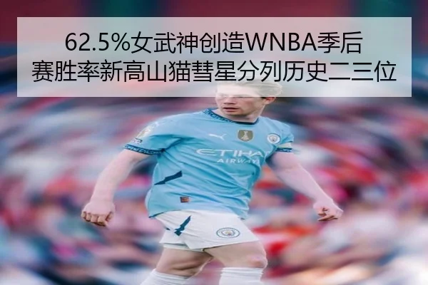 62.5%女武神创造WNBA季后赛胜率新高山猫彗星分列历史二三位（jiangnan）